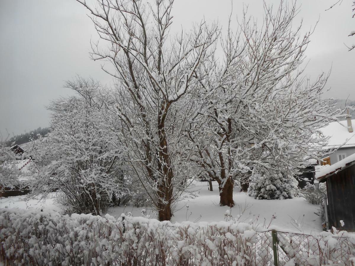 Pension Gierlinger Aflenz Kurort ภายนอก รูปภาพ